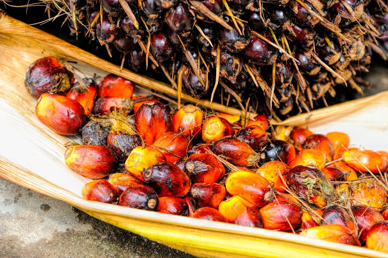 Palm oil skin care